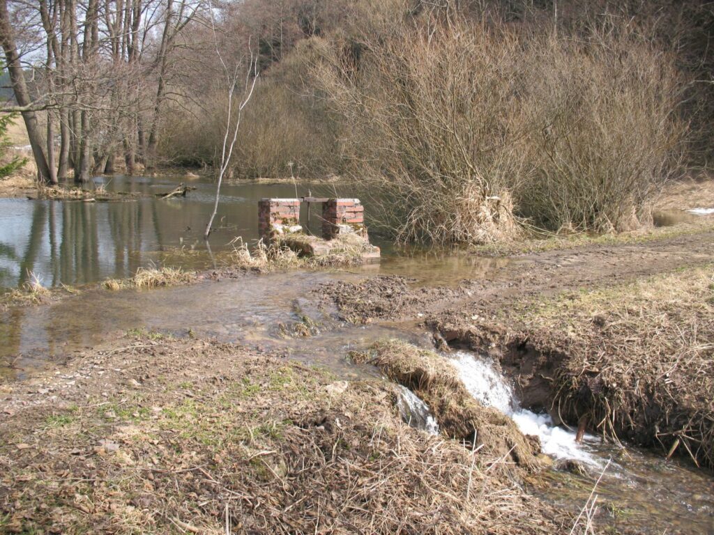 Lukavský rybníček při jarním tání 2010. Problém volné krajiny - minimum vodních ploch a mokřadů. Tato nepovolelná vodní plocha se stala útočištěm vzácných mokřadních druhů rostlin. Ty jsou ale ohroženy, neboť jakmile se protrhne hráz, umělý mokřad se vysuší. RVT oproti původnímu záměru prohloubit 2/3 plochy nádrže na návrh Správy CHKO Broumovsko vzhledem k výskytu druhů omezí zásah do biotopu na opravu hráze. (foto J. Malík, jaro 2010)